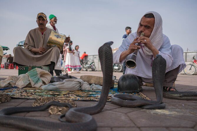 Marrakech day tour Immersion in Craft and Culture in VIP Van - Who Will Love This Tour?