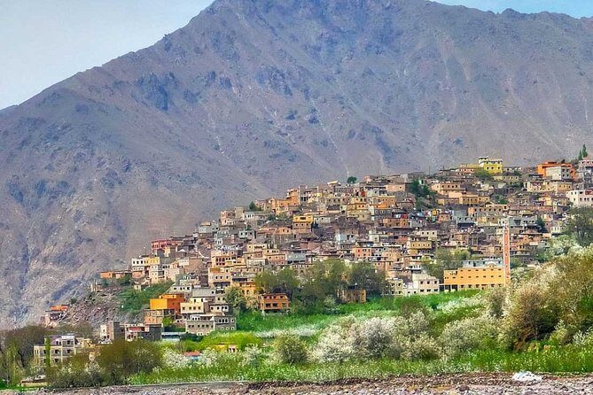 Marrakech Day Trip to the Atlas Mountains, Four Valleys and Camel Ride waterfall - What Travelers Say