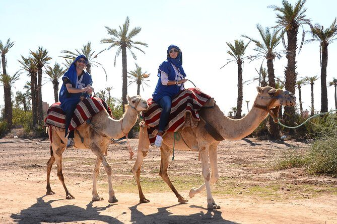 Marrakech Desert Camel Ride - A Closer Look at the Experience