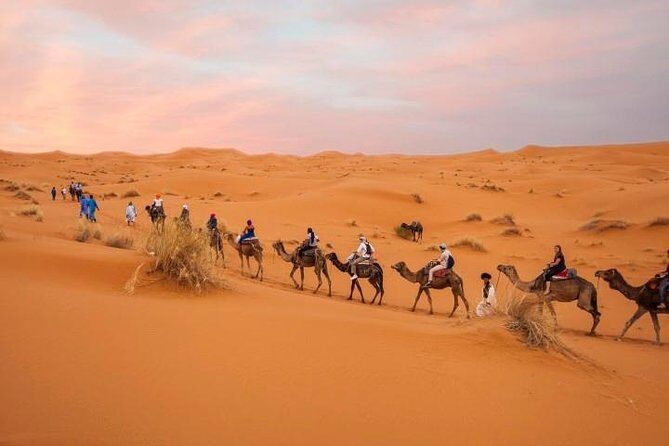 Marrakech Desert Tours & Morocco Imperial Cities Tour - Who Will Love This Tour?