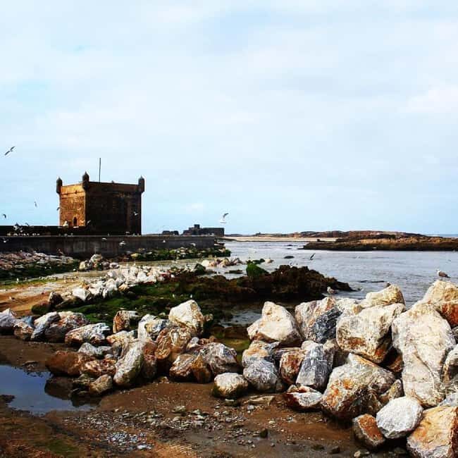 Marrakech: Essaouira Day Trip with Argan Oil Cooperative - A Closer Look at the Day Trip Experience