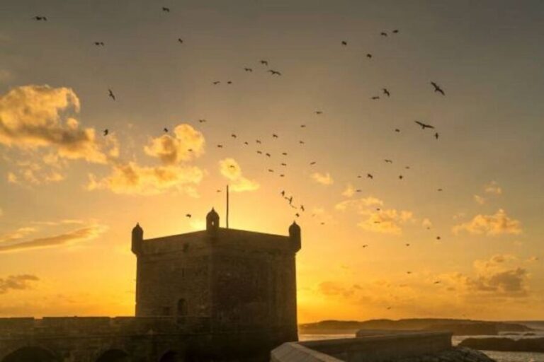 Marrakech: Essaouira Full-Day Trip - The Practical Side