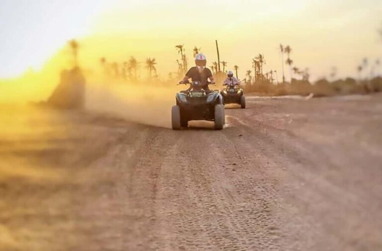 Marrakech, explore the palm grove desert by quad bike - Details of the Tour