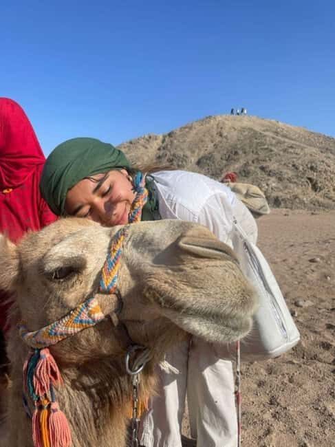 Marrakech: Full-Day Camel Ride, Quad Bike, & Spa Tour - Transportation, Value, and Practicalities