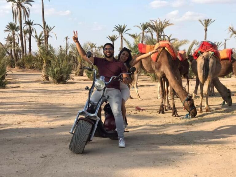 Marrakech: Glide Through the Red City on an EcoScooter Tour! - Who Will Love This Tour?