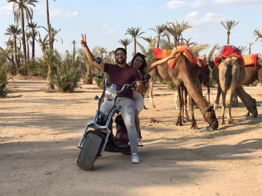 Marrakech: Glide Through the Red City on an EcoScooter Tour! - Who Will Love This Tour?