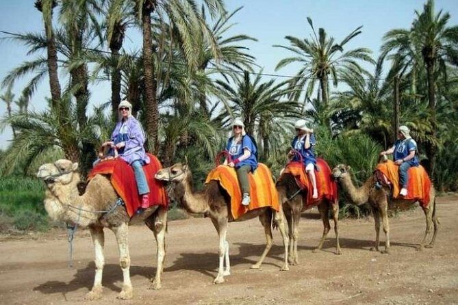 Marrakech Half-Day Camel Ride in Palm Grove - Exploring the Itinerary: What the Tour Includes