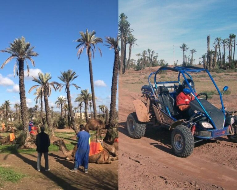 Marrakech: Half-day Dunes Trip With Buggy and Camel Ride - The Experience in Detail