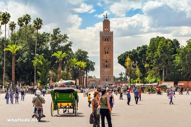 Marrakech: Half-Day Historical and Cultural Tour. - The Itinerary in Detail