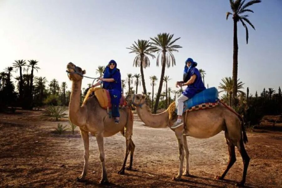 Marrakech Half Day Tour: Camel Ride And Quad Biking - What Makes This Tour Stand Out