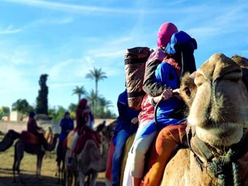 Marrakech: Half-Day Tour with Buggy Ride, Camel Ride and Spa - What to Expect from the Marrakech Half-Day Tour