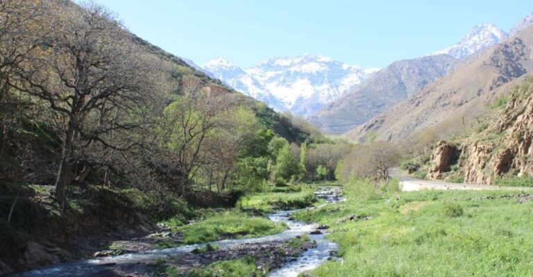Marrakech: High Atlas Mountains and Agafay Desert Day Tour - What Makes This Tour Stand Out