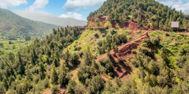 Marrakech: High Mountains Summit Guided Day Trek - What’s Included and How It Adds Value