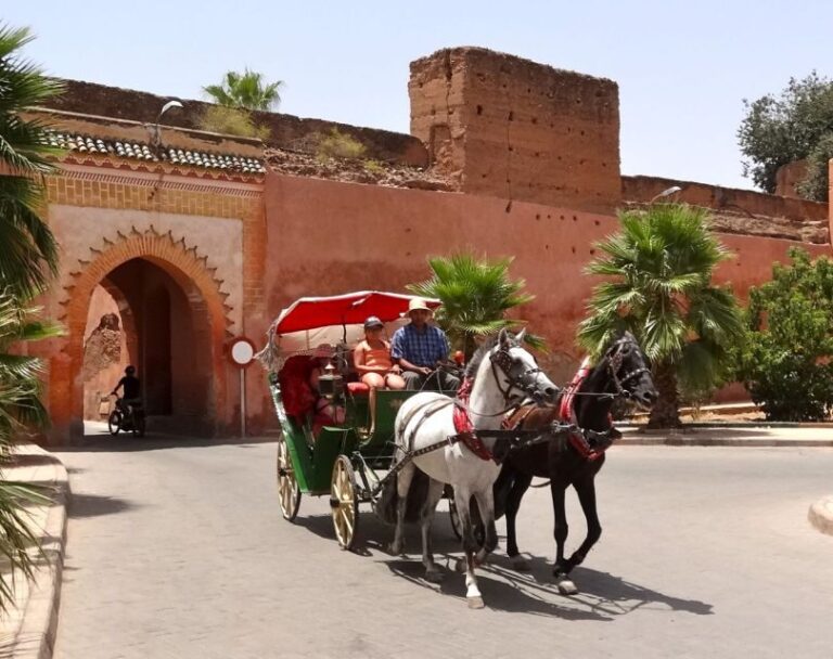 Marrakech: Horse-Drawn Carriage Tour - Who Will Love This Tour?