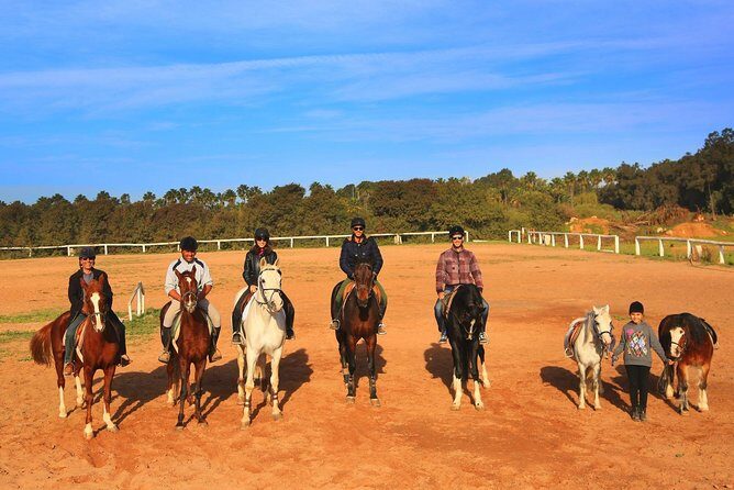 Marrakech Horse Riding - Who Should Book This Tour?