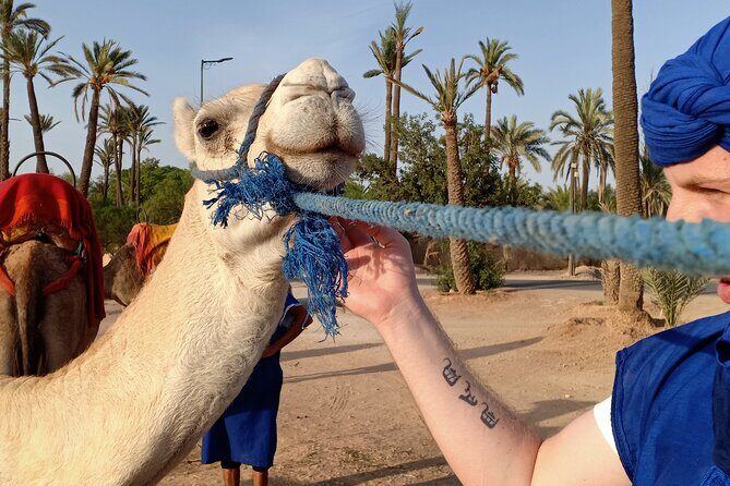Marrakech Luxery sunset Camel Ride - The Sum Up