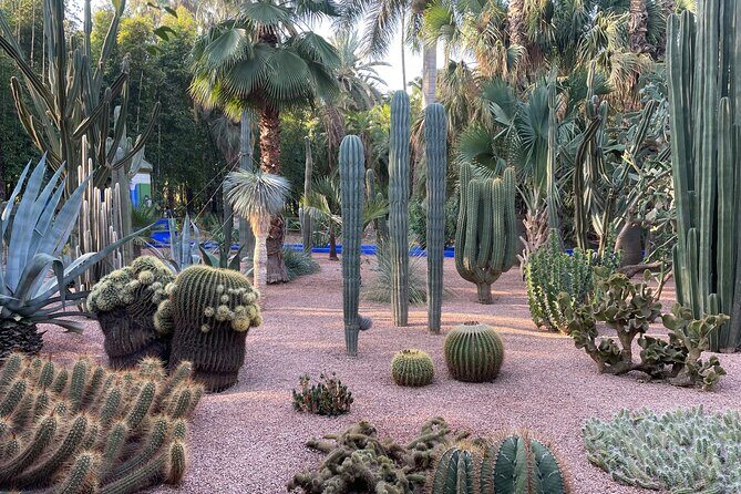 Marrakech Majorel garden entry ticket - The Value of Your Visit