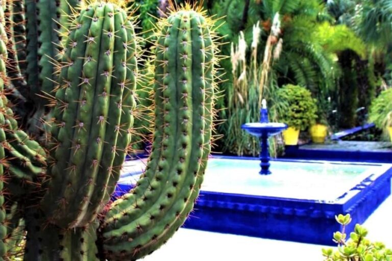 Marrakech: Majorelle Garden, Museums Tickets, & Audio Guide - Practical Details and Tips