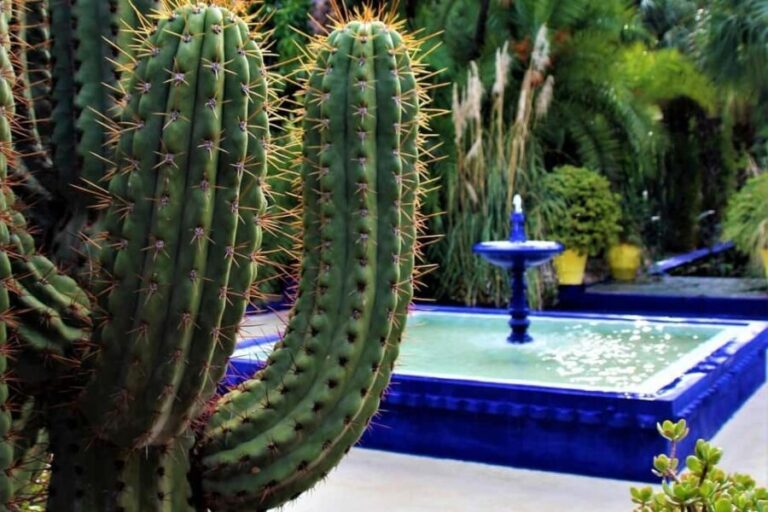 Marrakech: Majorelle Garden, YSL, and Berber Museum Entry - Practical Details: What You Need to Know