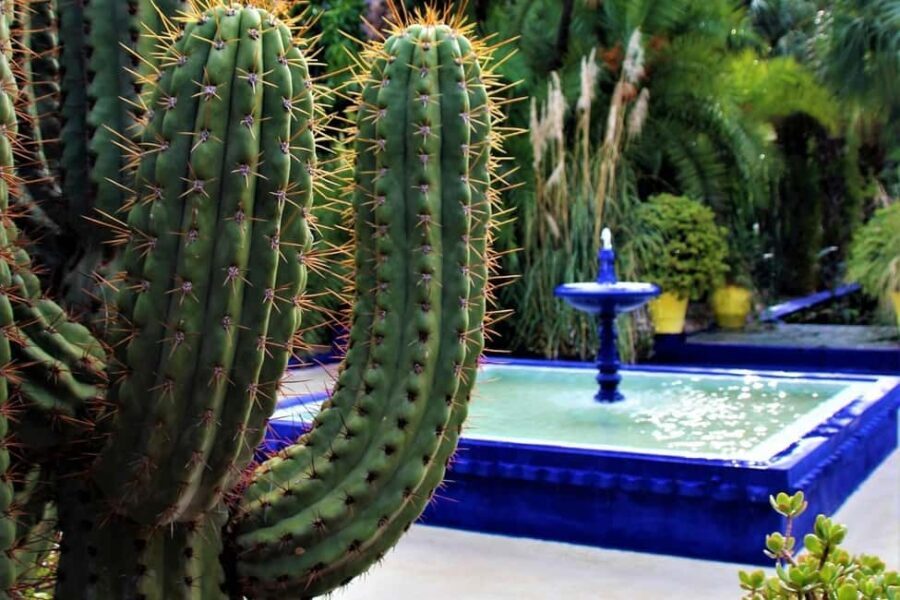 Marrakech: Majorelle Garden, YSL, and Berber Museum Entry - Practical Details: What You Need to Know