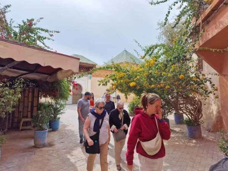 Marrakech: Medina & Souk Half-Day Guided Walking Tour - Navigating the Labyrinth of the Medina
