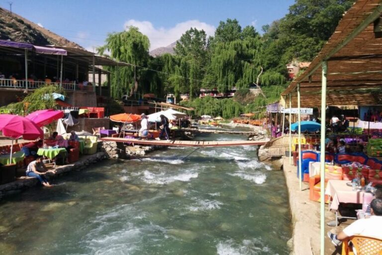 Marrakech: Ourika Valley and Atlas Mountains Day Trip - Analyzing the Value