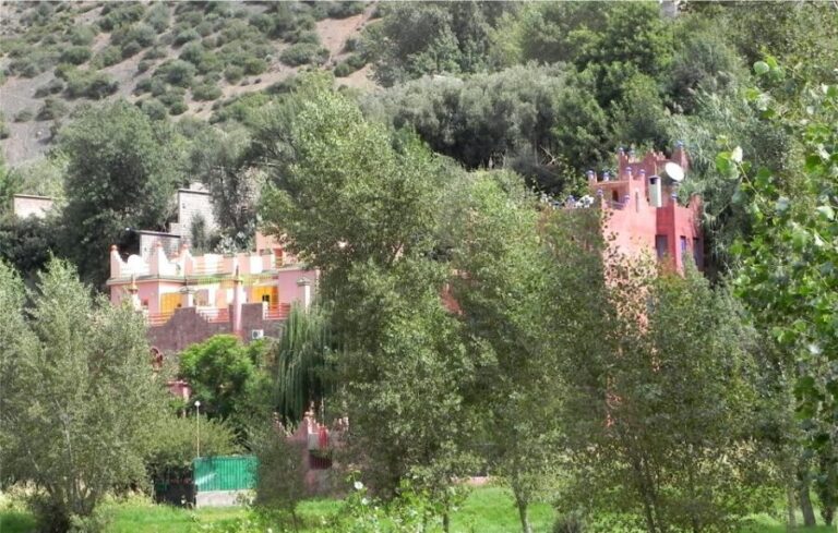 Marrakech: Ourika Valley Trip with Waterfall Hike - Transportation and Group Dynamics