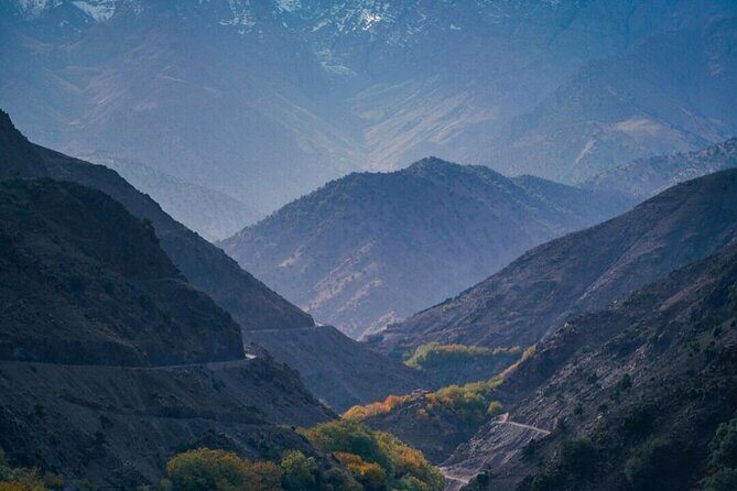 Marrakech: Ourika Valley Villages & Waterfalls Private Day Trip - Group Size, Timing, and Flexibility