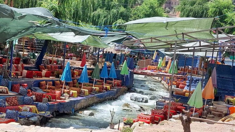 Marrakech: Ourika Valley with guid + lunch +Atlas Mountains - The Value and Traveler Experience