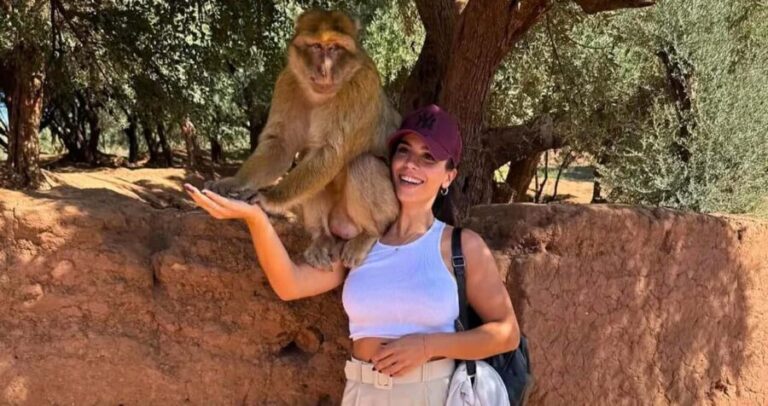 Marrakech: Ouzoud Waterfalls Trip, Guide & Boat + Lunch - The Value in Context