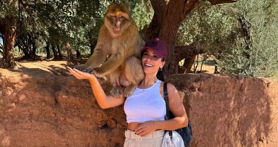 Marrakech: Ouzoud Waterfalls Trip, Guide & Boat + Lunch - The Value in Context