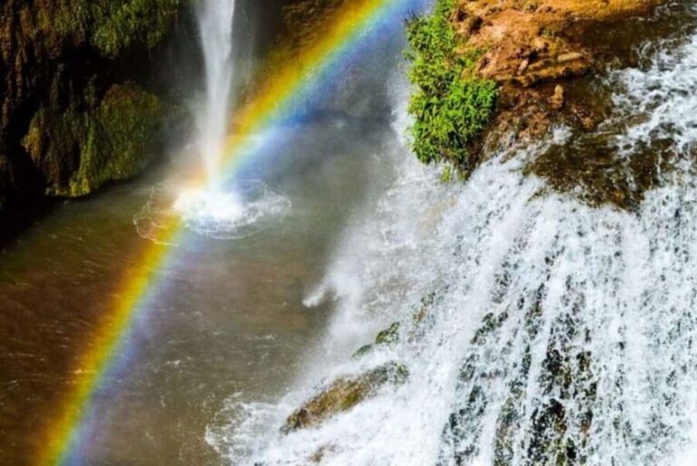 Marrakech: Ouzoud Waterfalls Trip, Guided Hike & Boat Option - The Magnificent Waterfalls and Boat Ride