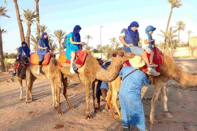 Marrakech Palm Grove Camel Ride with Tea-Break - The Value of the Tour