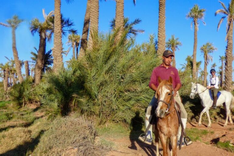 Marrakech: Palm Grove Horseback Riding Tour - Value and Practical Details