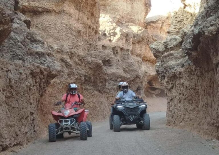 Marrakech: Palm Oasis Quad Bike Tour with Tea - What to Expect on the Tour
