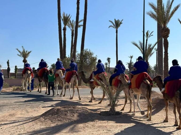Marrakech Palmeraie Camel Ride Adventure - Authenticity, Scenery, and Cultural Insights