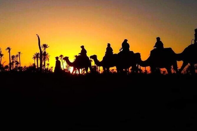Marrakech Palmeraie: Camel Ride at Sunset - Who Will Love This Tour?