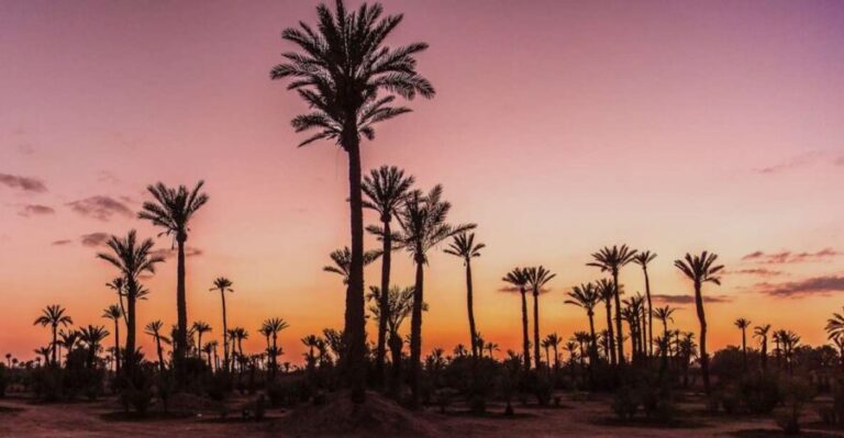 Marrakech Palmeraie: Camel Ride at Sunset - Authenticity and Guides: What Really Makes the Difference