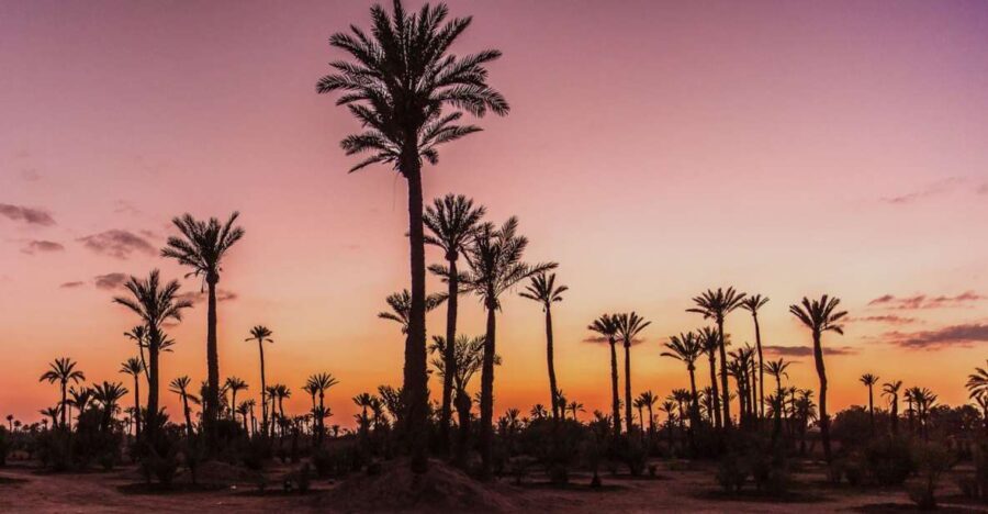 Marrakech Palmeraie: Camel Ride at Sunset - Authenticity and Guides: What Really Makes the Difference