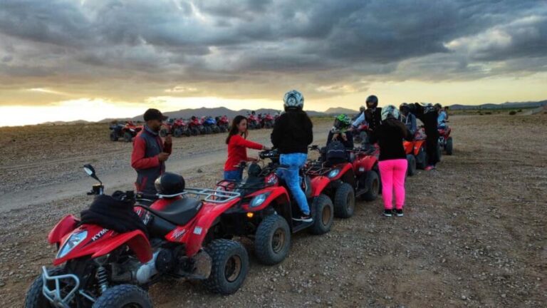 Marrakech: Palmeraie Guided Quad Biking Tour with Tea - What the Reviews Reveal