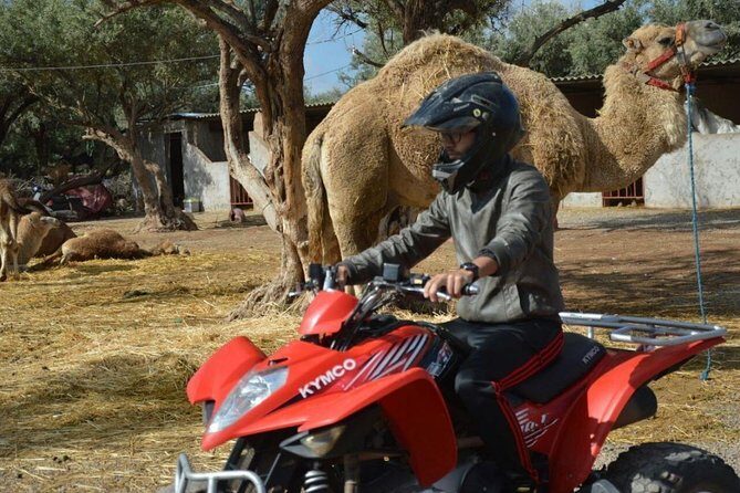 Marrakech Palmeraie Quad Bike Desert Adventure - Who Should Consider This Tour?
