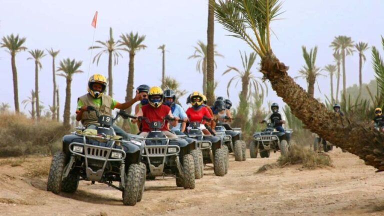 Marrakech: Palmeraie Quad Biking & Camel Ride with Pick-Up - Summary: Who Will Love This Tour?