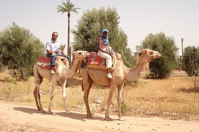 Marrakech Palmeraie Tour with 1 Hour Camel Ride - The Sum Up