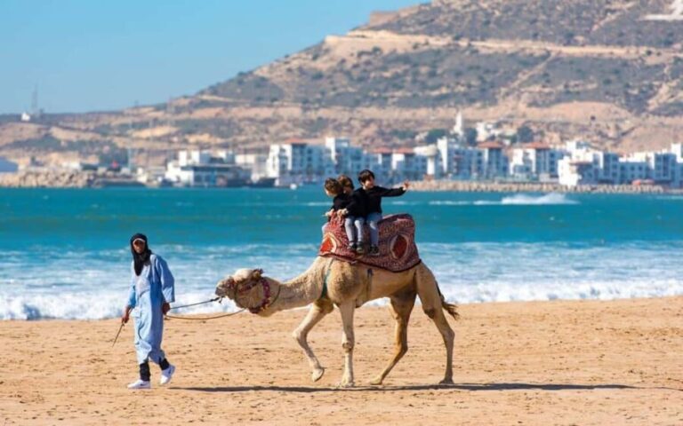 Marrakech : Private 1-Day Trip To Agadir & Crocodile Park - Valuing the Experience
