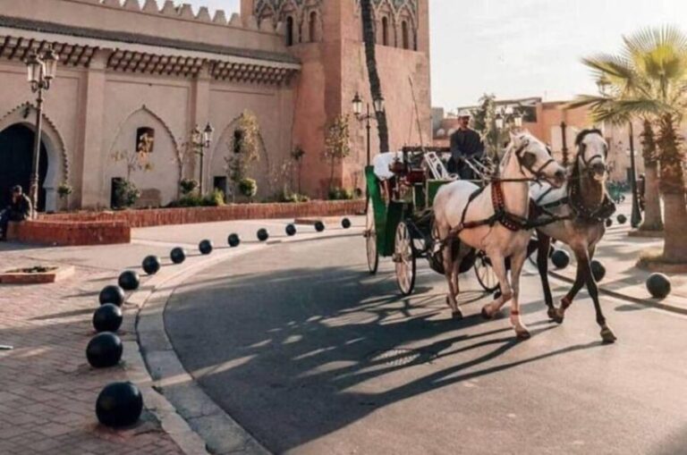Marrakech: private Guided tour Of Vibrant Souks - Practical Aspects and Value