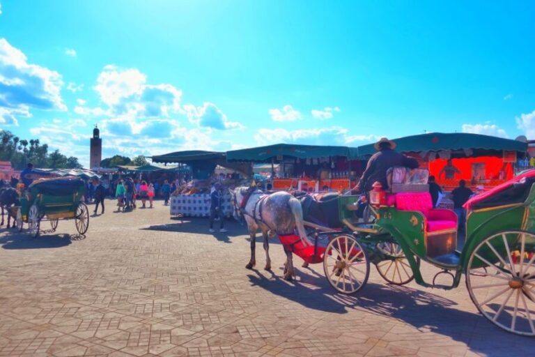 Marrakech: Private Half-Day City Highlights Tour - What Makes This Tour Stand Out
