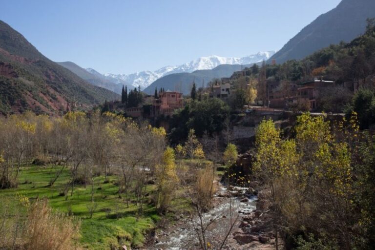 Marrakech: Private High Atlas Mountains Day-Trip - Exploring Berber Villages and Local Culture