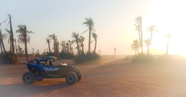 Marrakech: Private Palm Grove Camel and Quad Bike Ride - Exploring the Itinerary in Detail