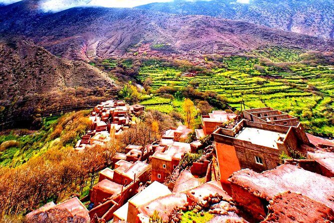 Marrakech : Private Transfer to/from RAK Airport - Authenticity, Value, and Overall Experience
