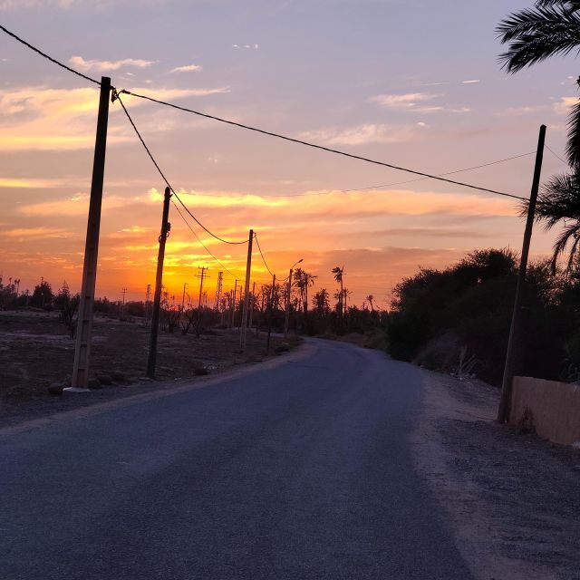Marrakech: Quad activity in the Palmeraie with Tea break - The Itinerary: What You Can Expect